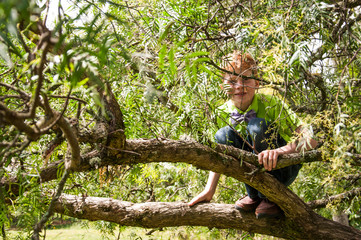 Child playing on the tree