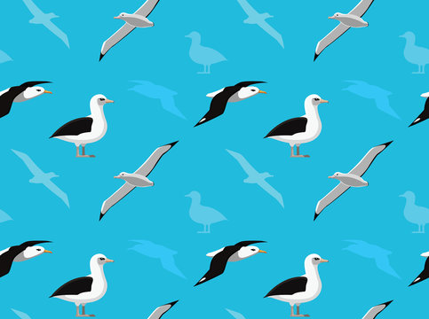 Bird Albatross Wallpaper