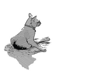 Drawing cat life style in natural