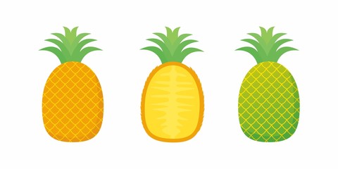 Set of pineapple fruit isolated on white 