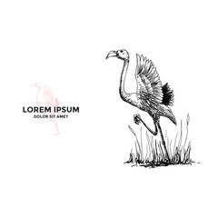 Flying Flamingo Hand Drawn Logo Inspiration