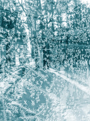frozen winter background with ice crystals. trees behind frosted glass