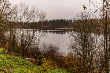 Obraz premium Deer lake park at rainy autumn day in November Burnaby British Columbia Canada.