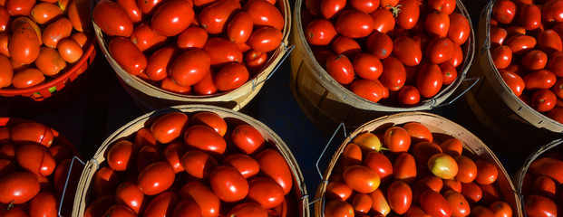 Tomatoes at the Jean-Talon Market is a farmer's market in Montreal. Located in the Little Italy...