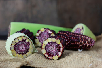 Fresh Purple corn fruit from Thailand garden  
