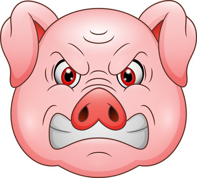 Angry pig head cartoon mascot