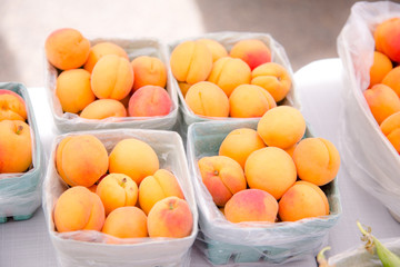 boxes of apricot
