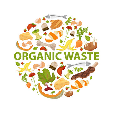 Round template Organic waste theme. Collection of fruits and vegetables. No food wasted. Set of leftovers. Illustration for organic waste, zero waste theme, modern environmental problem. Flat vector