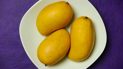 Three bright yellow mangoes in a white bowl on a purple background