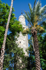 Sidna Omar Mosque’s minaret framed by palm trees in the Jewish Quarter of the Old City of...