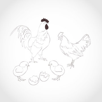 Rooster, hen, chick. Dark pattern on a light background. Sketch.