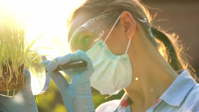 Woman scientist in goggles and a mask examines a sample of soil and plants through a magnifying glass