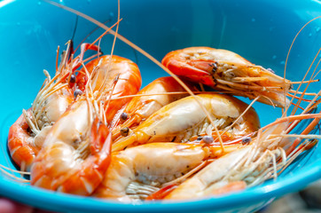 shrimp on bowl