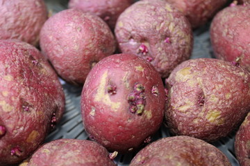red potatoes in basket