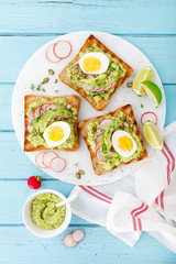 Toasts with avocado guacamole, fresh radish, boiled egg, chia and pumpkin seeds. Diet breakfast. Delicious and healthy plant-based food. Flat lay. Top view