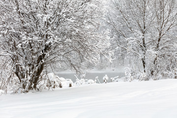 Winter landscape. Cold day.