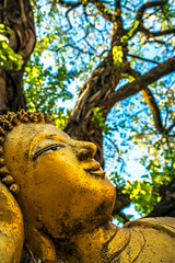 Fototapeta premium Scultura Buddha