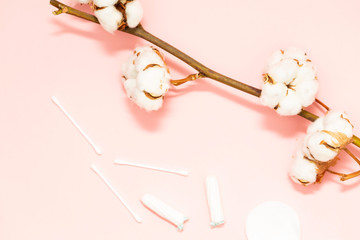 Spa concept. Flat background with a branch of cotton, with a cotton pads. Cotton Makeup Remover Cosmetics. Women's sanitary cotton swabs. Space for text