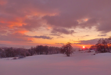 Winter snowy purple sunset landscape