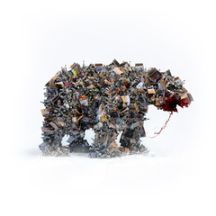 Garbage bear