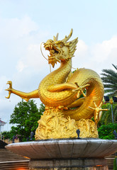 Fototapeta premium gold dragon scrulpture at public park, Phuket Thailand