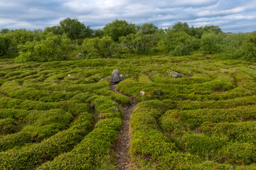 Stone labyrinths on the Bolshoy Zayatsky Island. Solovetsky archipelago, White Sea, Russia