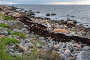 Fototapeta na wymiar Huge stones and algae on the coastline of the Bolshoy Zayatsky Island. Solovetsky archipelago, White sea, Russia