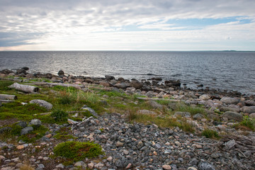 Huge stones and algae on the coastline  of the Bolshoy Zayatsky Island. Solovetsky archipelago, White sea, Russia