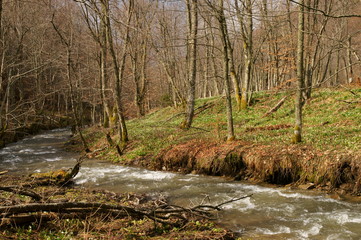 Bieszczady National Park - Terebowiec stream valley. Poland.