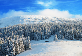 Sunny day in winter mountains