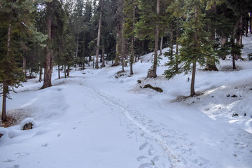 Explore the amazing snow land Pahalgam, Kashmir on mules/horses during winter trip. Christmas and New year holidays celebration in Kashmir, India. 