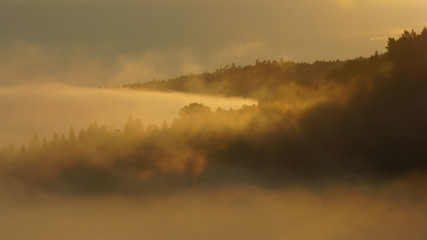 Misty landscape in the San Valley. Bieszczady Mountains. Poland