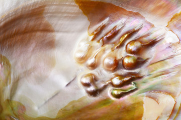 Shell texture pearl