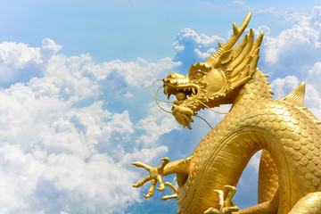 Fototapeta na wymiar Chinese golden dragon statue on clouds and blue sky background, copy space
