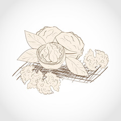 Walnut, Dried fruits. Sketch. Plain pattern. Beige.