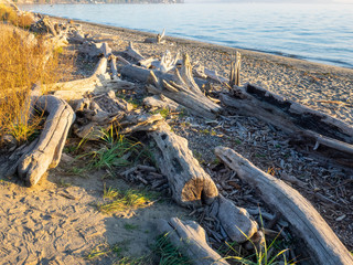 Discovery Park