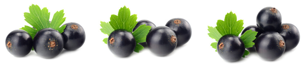 black currant with green leaf isolated on white background. macro