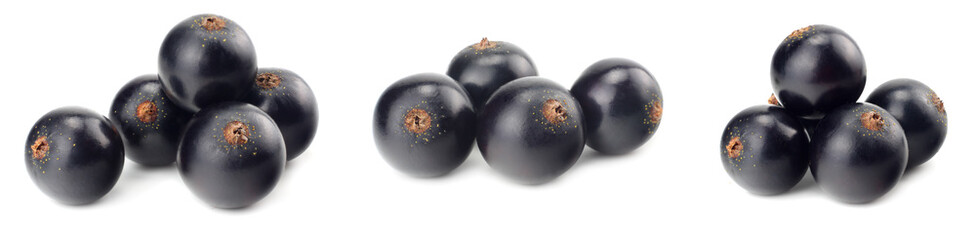 black currant isolated on white background. macro
