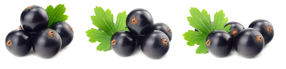 black currant with green leaf isolated on white background. macro