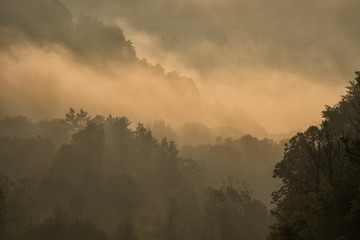 Misty landscape in the San Valley. Bieszczady Mountains. Poland