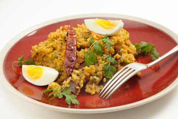 Traditional north Indian Kichuri and boiled egg side view