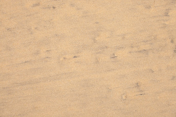 Fototapeta na wymiar Texture of wet yellow and black sand