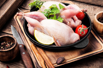 Fresh raw quail on a kitchen board and ingredients.Quail meat