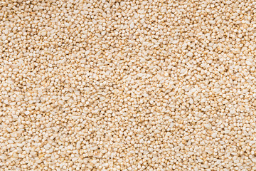 Amaranth grains, source of protein, top view