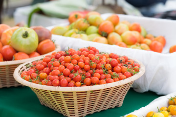 Detail on a market stall of fresh tomatoes, with focus on orange cherry tomatoes in the foreground. Organic food concept.