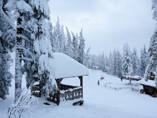 ski resort after snowfall