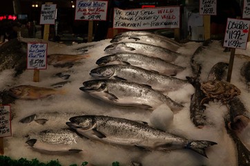 fresh fish in the market