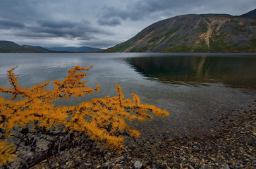 Russia. Magadan. The amazing beauty of the autumn of the Far East. The lake Maxi