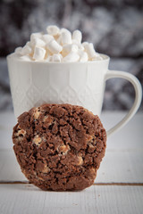 Round homemade cookies with cocoa and marshmallows.