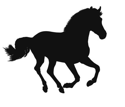 Vector silhouette of a freely cantering horse.
